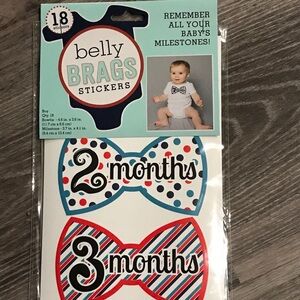 🔸5 for $15🔸Baby boy milestone stickers